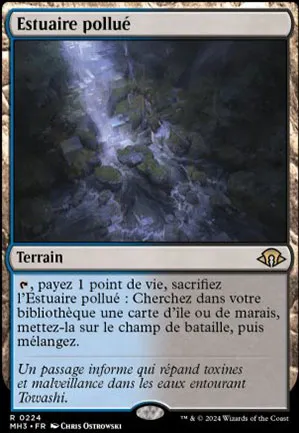 Estuaire pollué