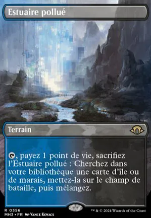 Estuaire pollué