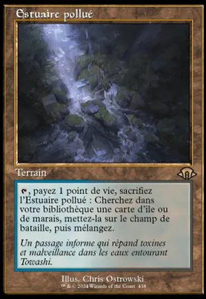 Estuaire pollué