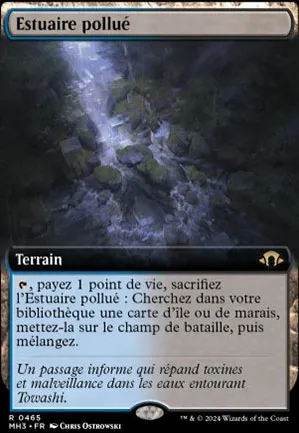 Estuaire pollué