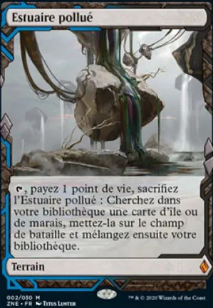 Estuaire pollué