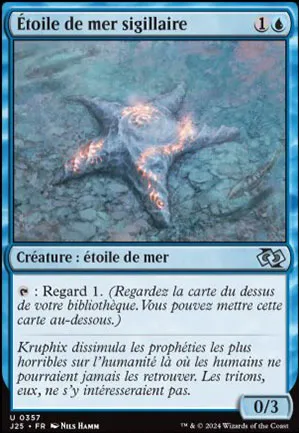 Étoile de mer sigillaire
