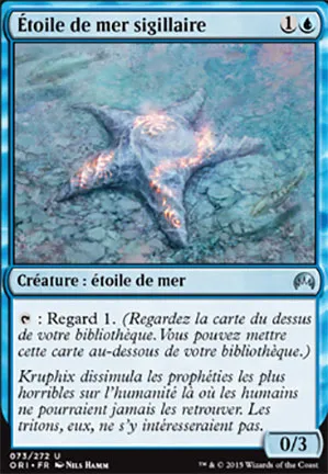 Étoile de mer sigillaire
