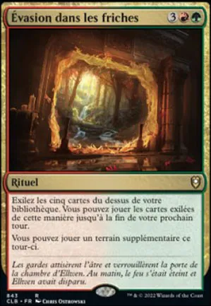 Évasion dans les friches