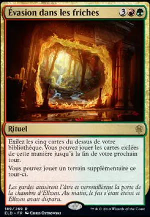 Évasion dans les friches