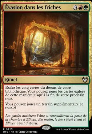 Évasion dans les friches
