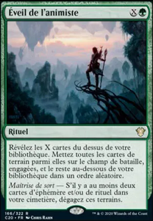 Éveil de l'animiste