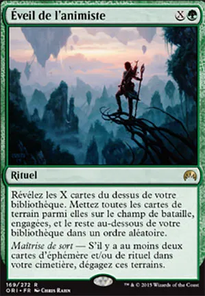 Éveil de l'animiste