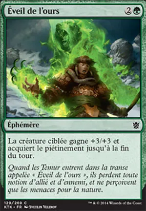 Éveil de l'ours