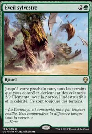 Éveil sylvestre