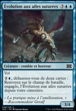 Évolution aux ailes suturées