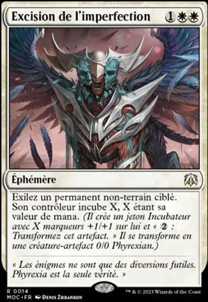 Excision de l'imperfection