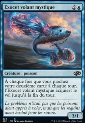 Exocet volant mystique