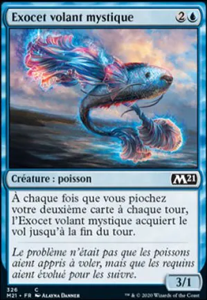 Exocet volant mystique