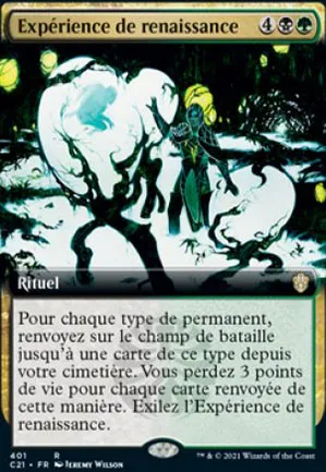 Expérience de renaissance