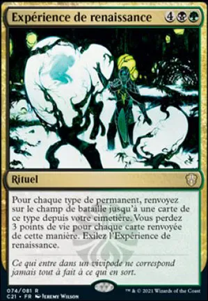 Expérience de renaissance