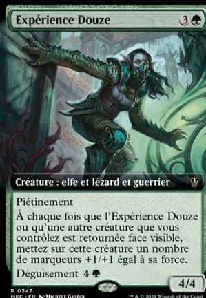 Expérience Douze