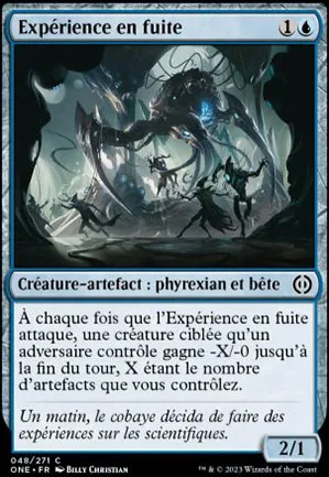 Expérience en fuite