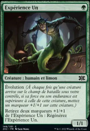 Expérience Un