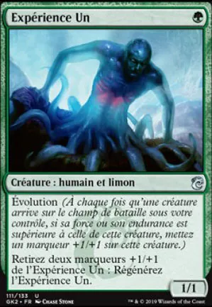 Expérience Un