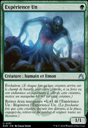 Expérience Un