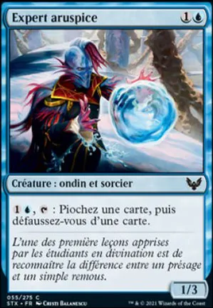 Expert aruspice