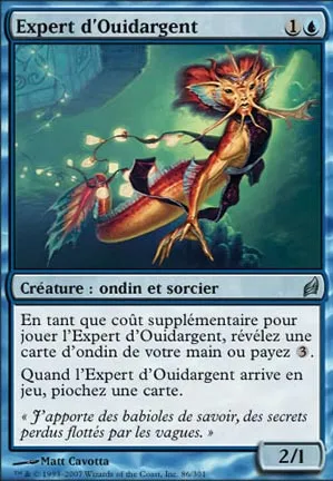 Expert d'Ouidargent