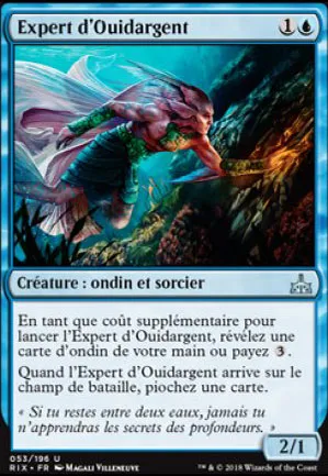 Expert d'Ouidargent