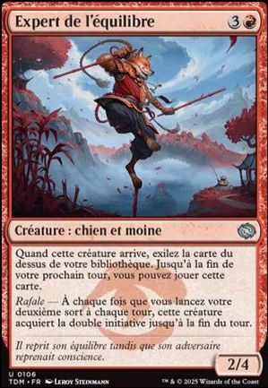 Expert de l'équilibre