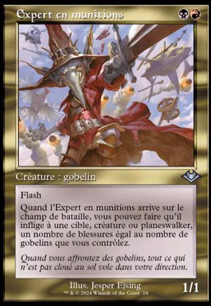 Expert en munitions