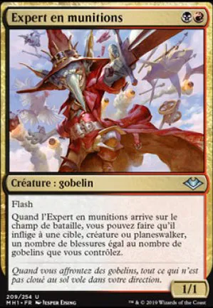 Expert en munitions