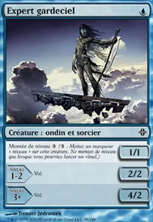 Expert gardeciel