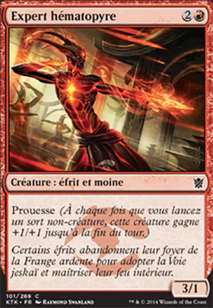 Expert hématopyre