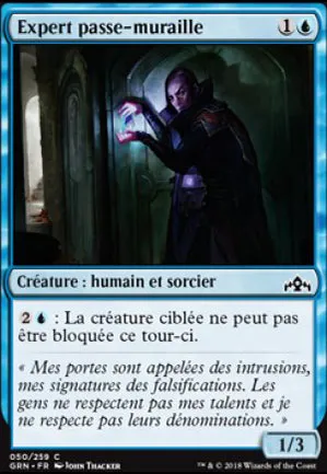Expert passe-muraille