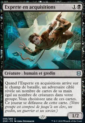 Experte en acquisitions