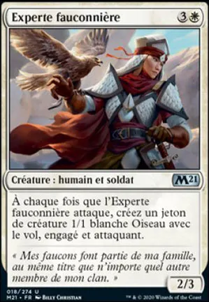 Experte fauconnière