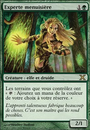 Experte menuisière