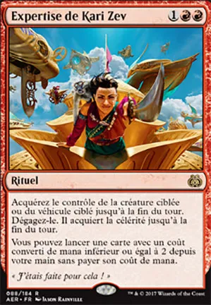 Expertise de Kari Zev