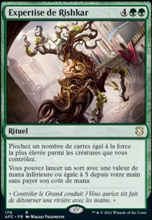 Expertise de Rishkar