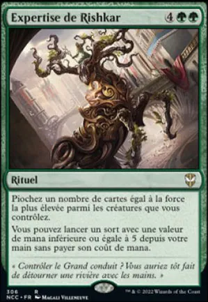 Expertise de Rishkar