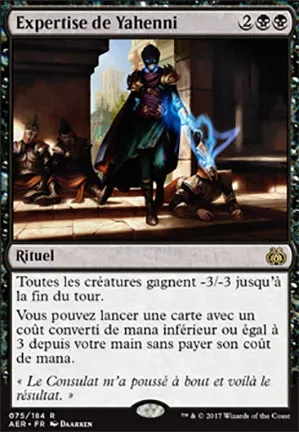 Expertise de Yahenni