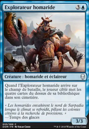 Explorateur homaride