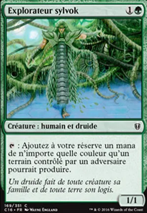 Explorateur sylvok