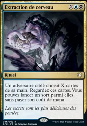 Extraction de cerveau