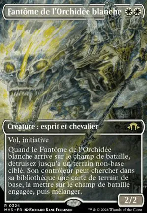 Fantôme de l'Orchidée blanche