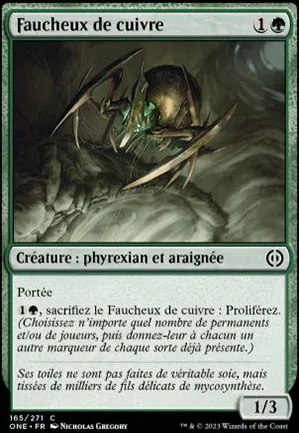 Faucheux de cuivre