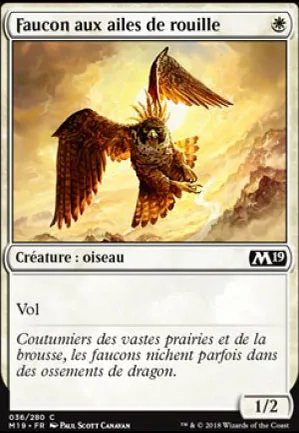 Faucon aux ailes de rouille