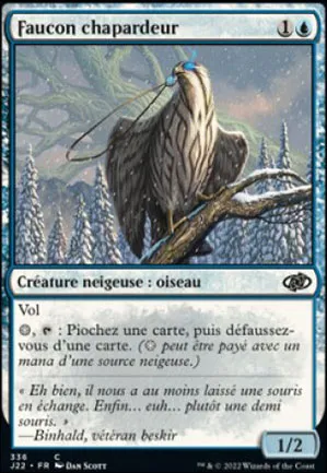 Faucon chapardeur
