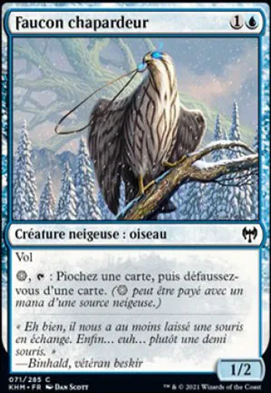 Faucon chapardeur