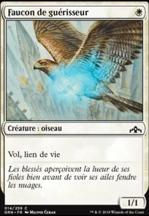 Faucon de guérisseur